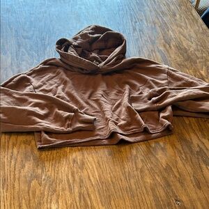 Hollister Brown Cropped Hoodie